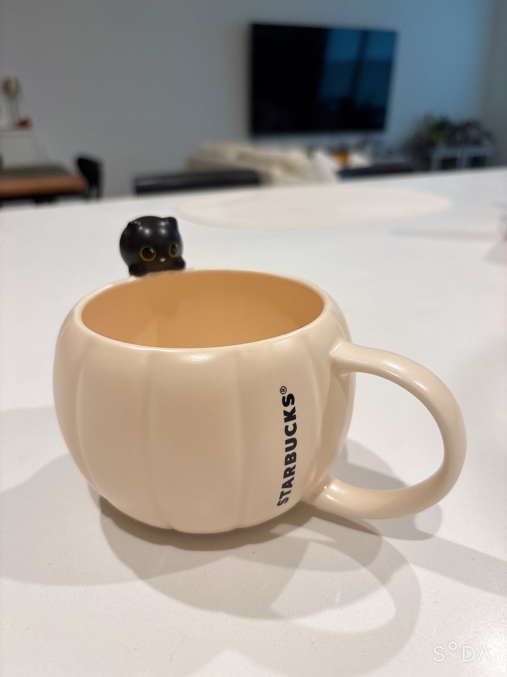 Starbucks Cream Pumpkin Mug with Black Cat Accent